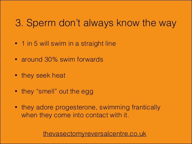 Which sperm swims faster Chubby elder sex